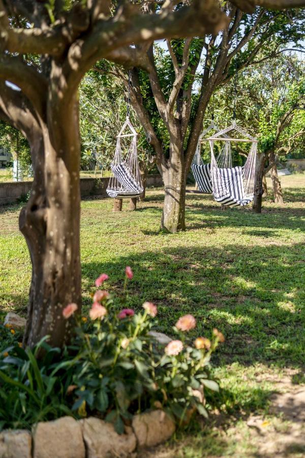 Villa Caterina B&B Procida Exterior foto